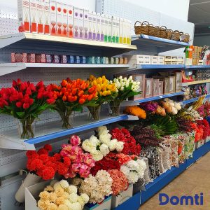 domti_tulipanes